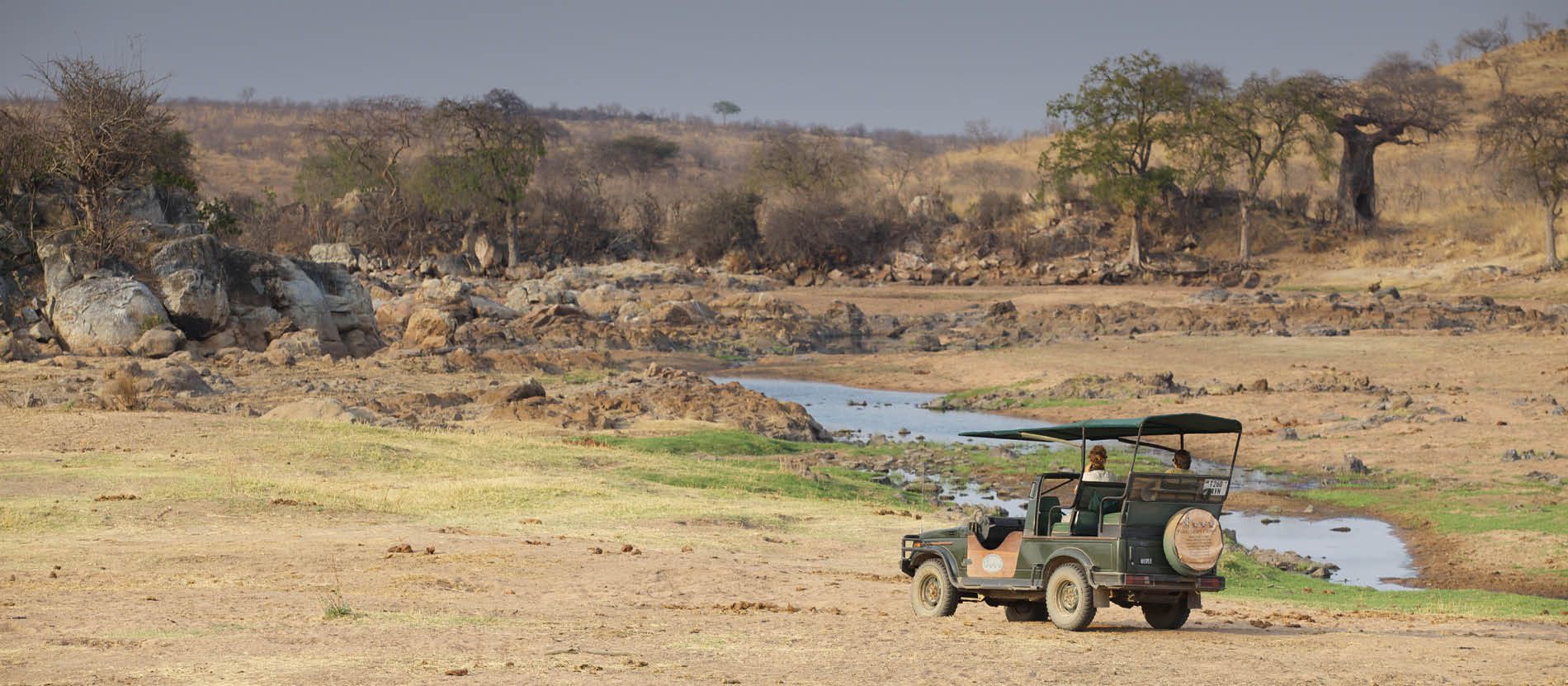 tanzania safari jambo tours