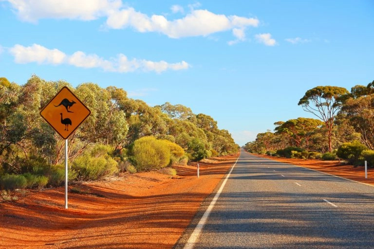 Australien_outback road_shutterstock_691987033