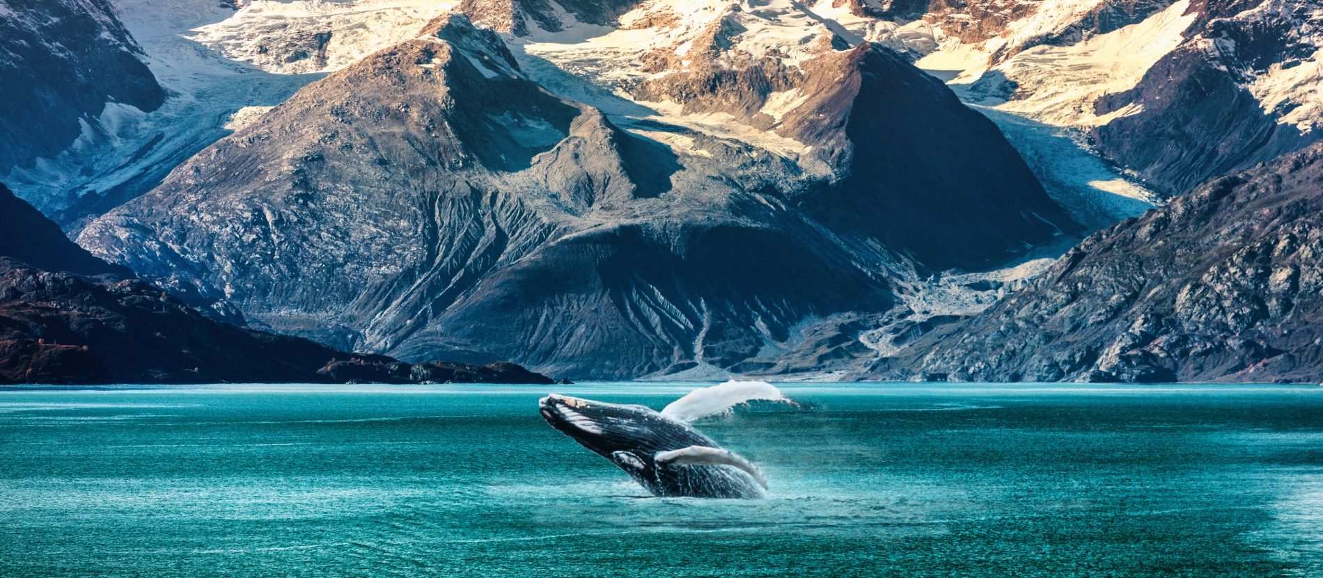 Banner_Alaska_Insidepassage_AdobeStock_378706134